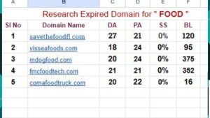 Expired domain research project showcasing SEO-focused analysis and results.