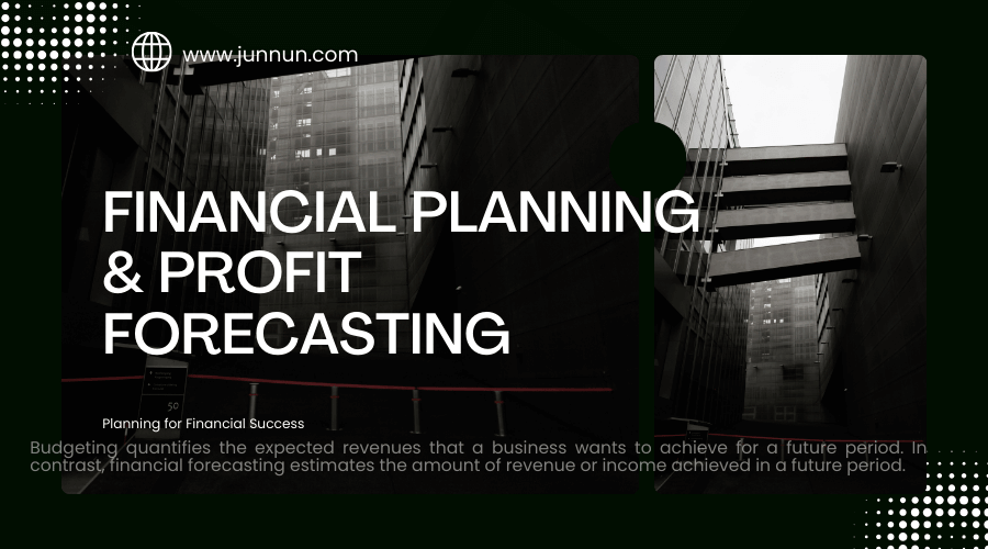 financial planning charts, revenue projections, budget analysis, and profit forecasting for e-commerce businesses.